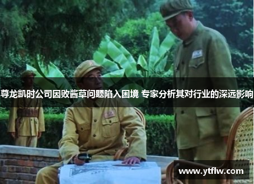 尊龙凯时公司因败酱草问题陷入困境 专家分析其对行业的深远影响