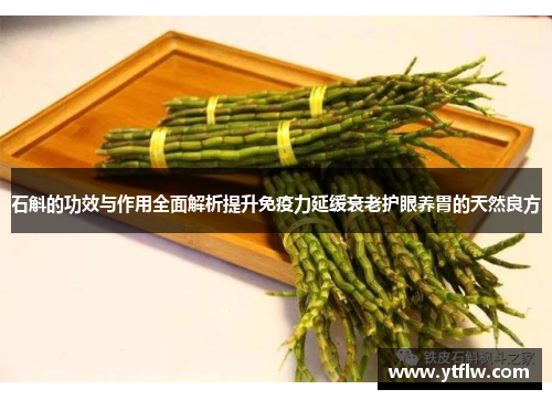 石斛的功效与作用全面解析提升免疫力延缓衰老护眼养胃的天然良方